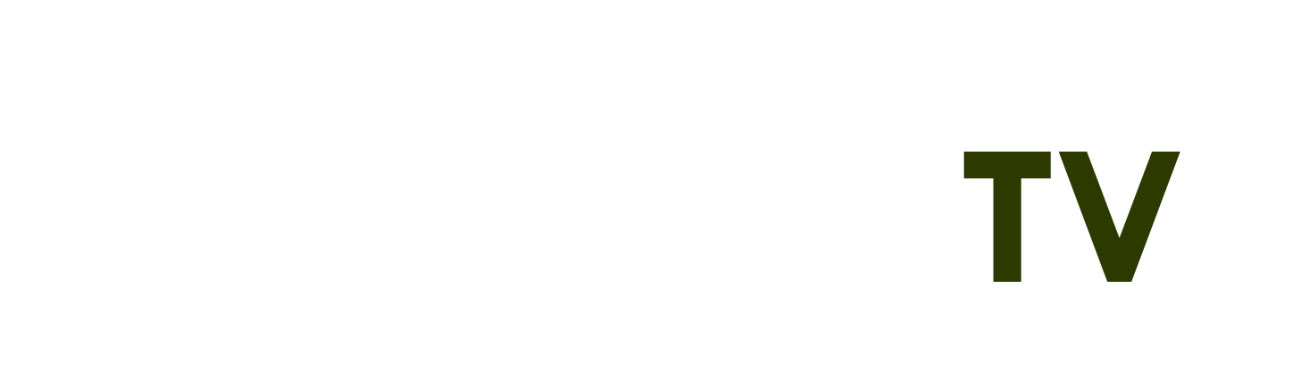 đai lưng
